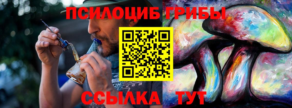 Галлюциногенные грибы мухоморы  дарнет шоп  Электрогорск  Вход с VPN  Галлюциногенные грибы прущие грибы 